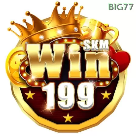 Ikon win199